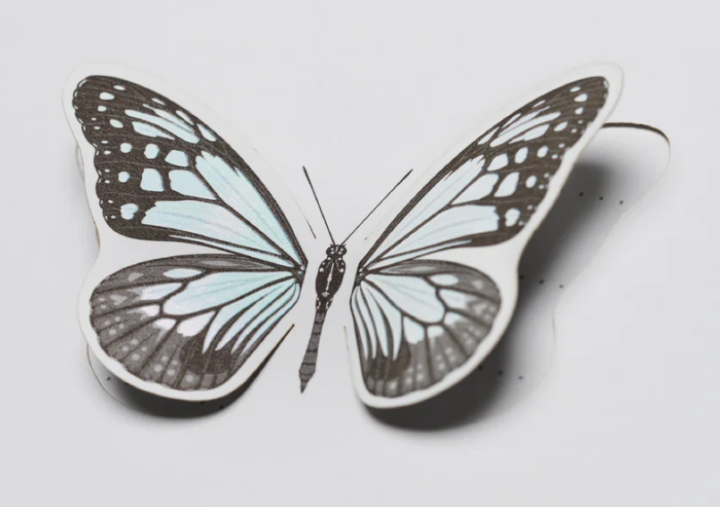Flapping Letter