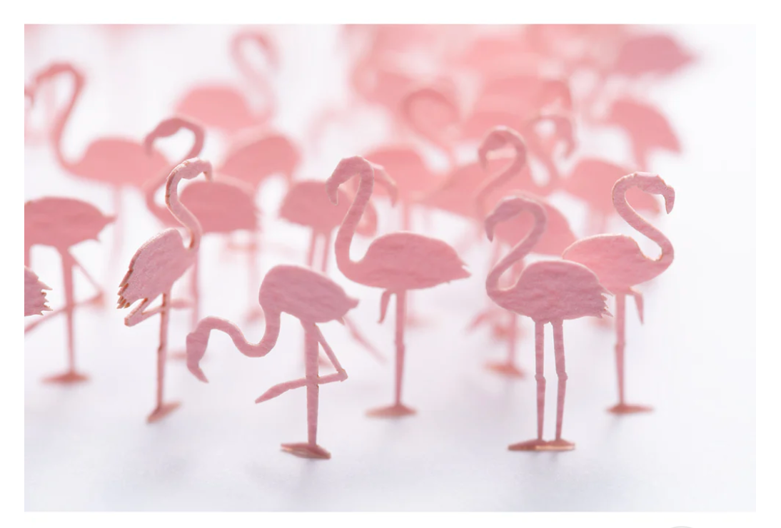 1/100 ARCHITECTURAL MODEL No.91 Flamingos - Pink