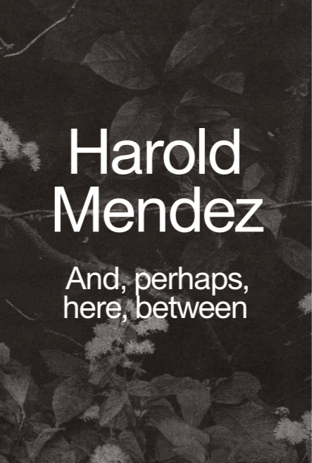 Harold Mendez: And, perhaps, here, between