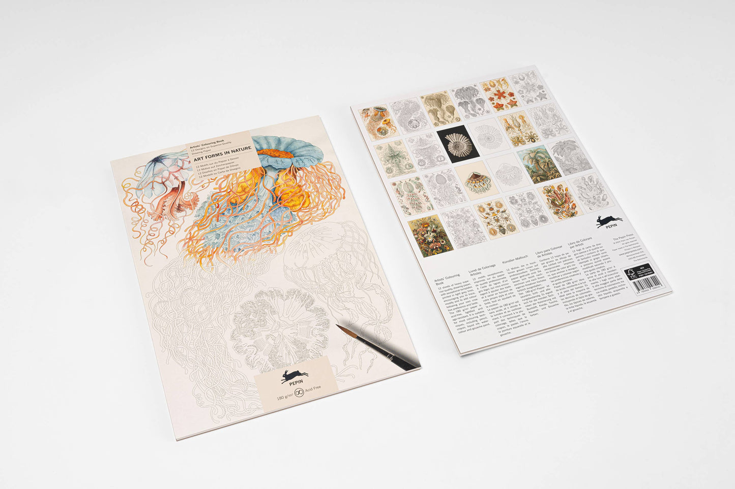 Art Forms In Nature Artists' Colouring Book