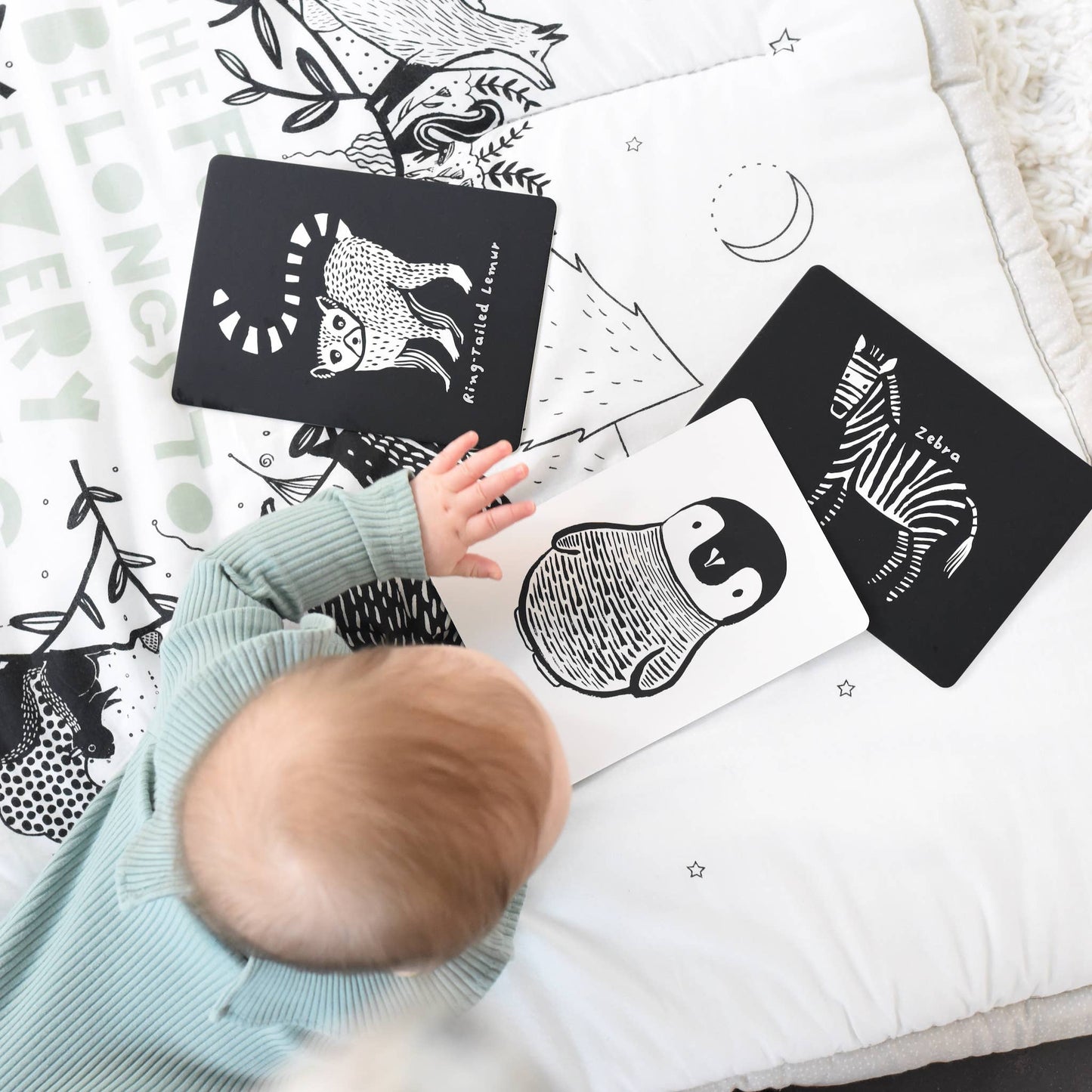 Art Cards for Baby - Black and White Animals