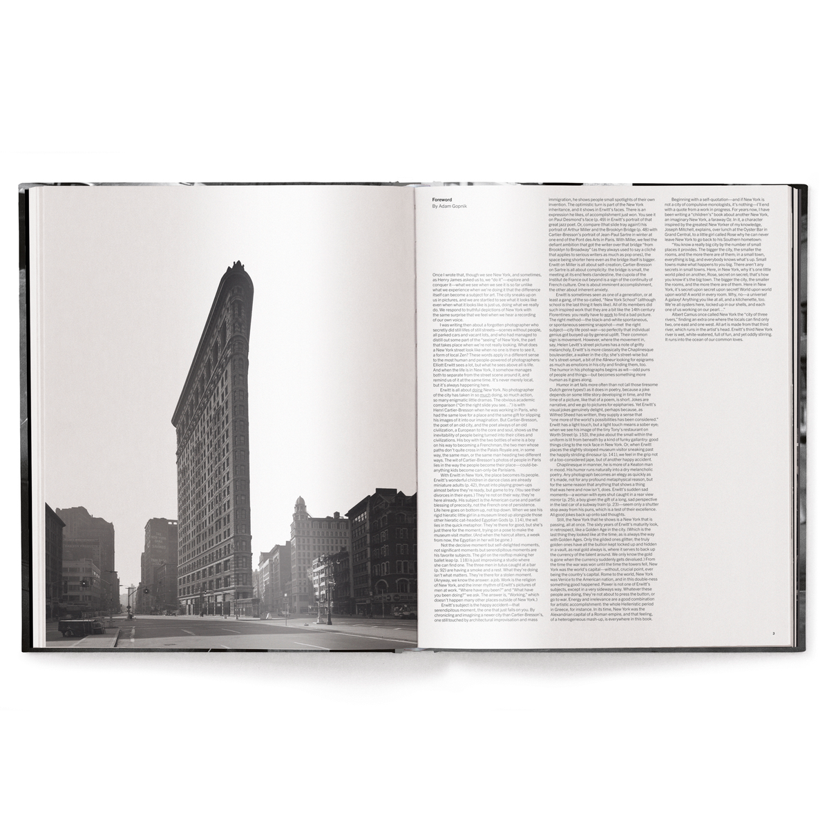 Elliott Erwitt's New York