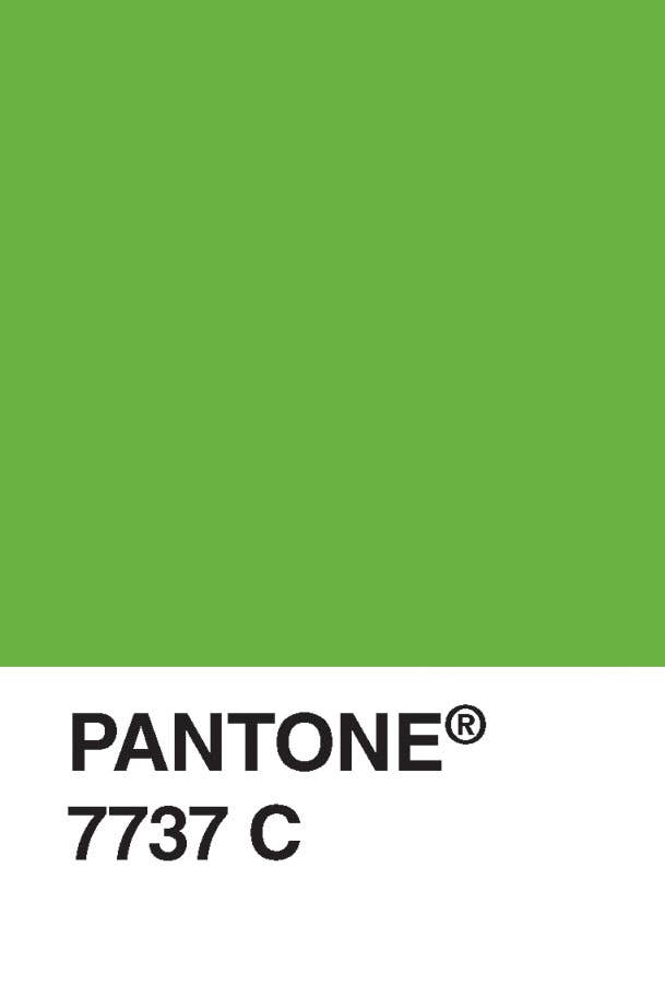 Pantone Postcard Box