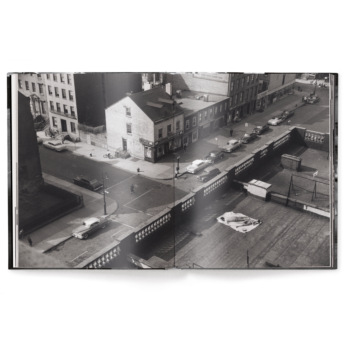Elliott Erwitt's New York