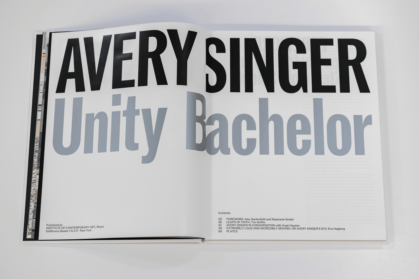 Avery Singer Unity Bachelor