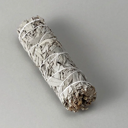 Incausa Wild White Sage- 8"-9"