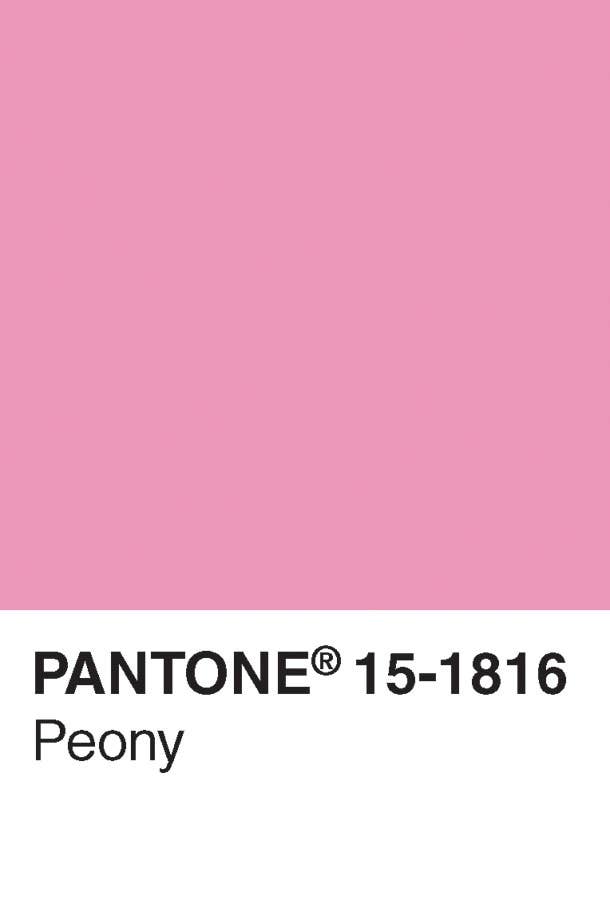 Pantone Postcard Box