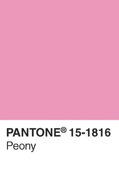 Pantone Postcard Box