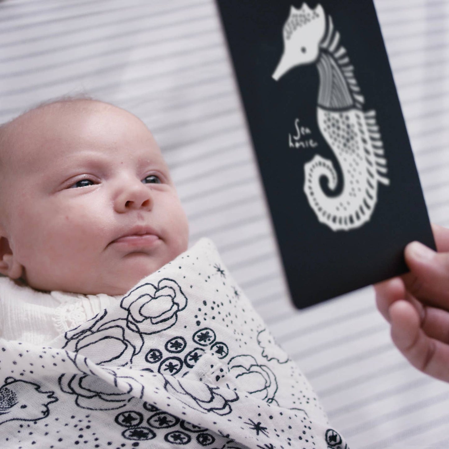 Art Cards for Baby - Ocean Animals