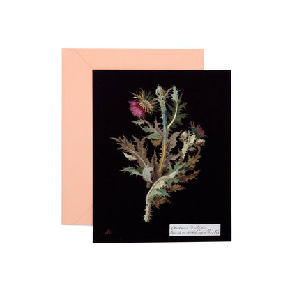 Paper Flowers Cards and Envelopes