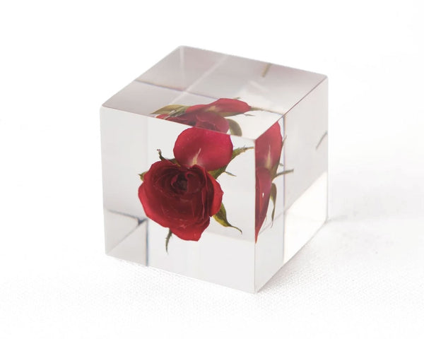 Sola Cube - Rose (Limited Edition)