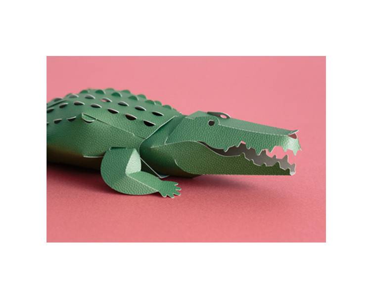 Crocodile Model Kit