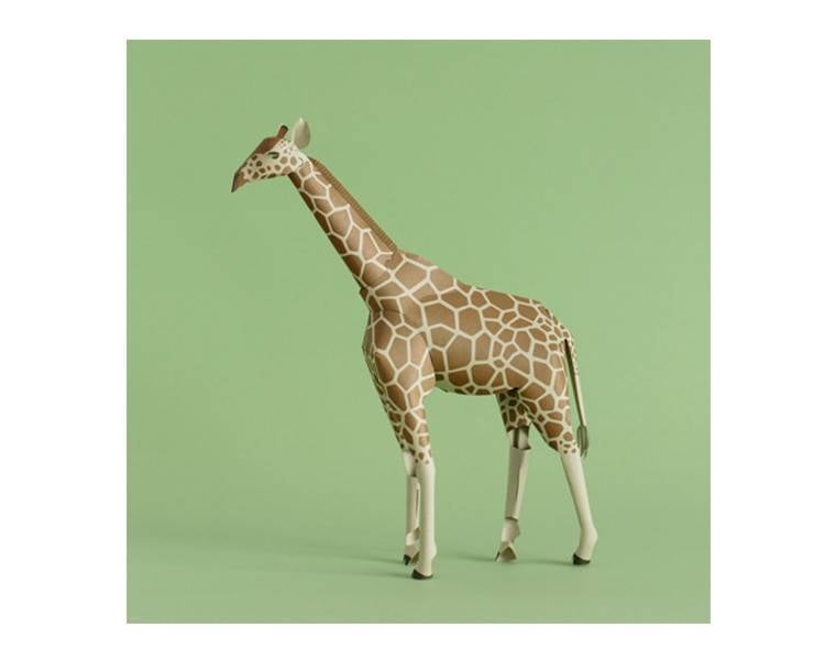 Giraffe Model Kit