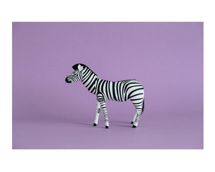 Zebra Model Kit